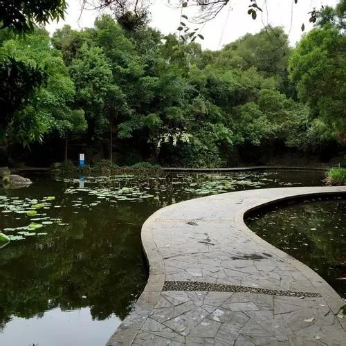 那些隐蔽的世外桃源,深圳世外桃源位置