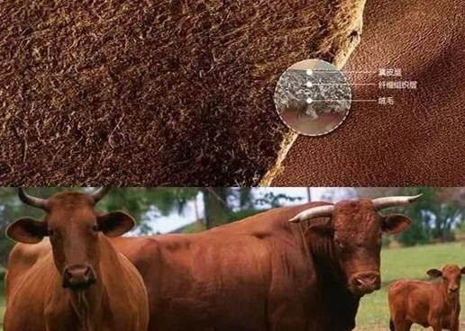 教你如何区分真假牛皮包包,包包怎么区分真皮还是假皮