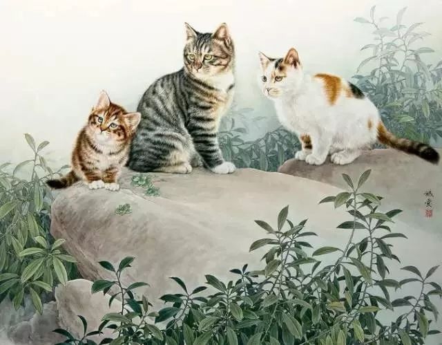 邢诚爱工笔猫扑蝶画法,邢诚爱工笔画猫白描底稿