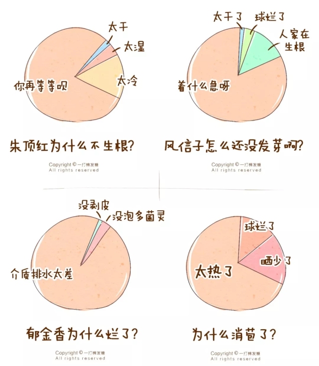 你也想拥有一个繁花似锦的春天？有这份球根种植笔记就够了