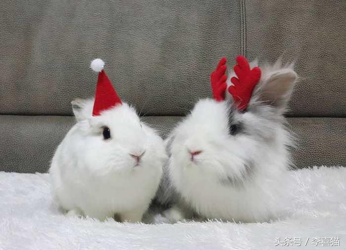 冬天这么冷就多互相温暖吧,冬天这么冷我们互相取暖