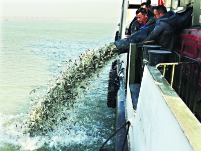 武汉地铁12号线盾构贯通站点,武汉地铁环线12号线开通时间