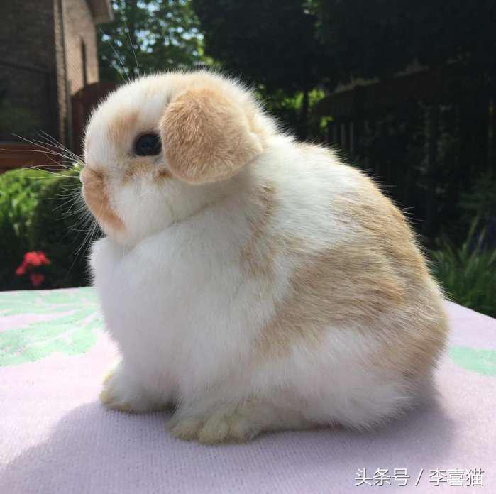 冬天这么冷就多互相温暖吧,冬天这么冷我们互相取暖