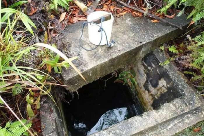 骑行9000多公里，他的这个决定，让流浪猫成为了宝贝