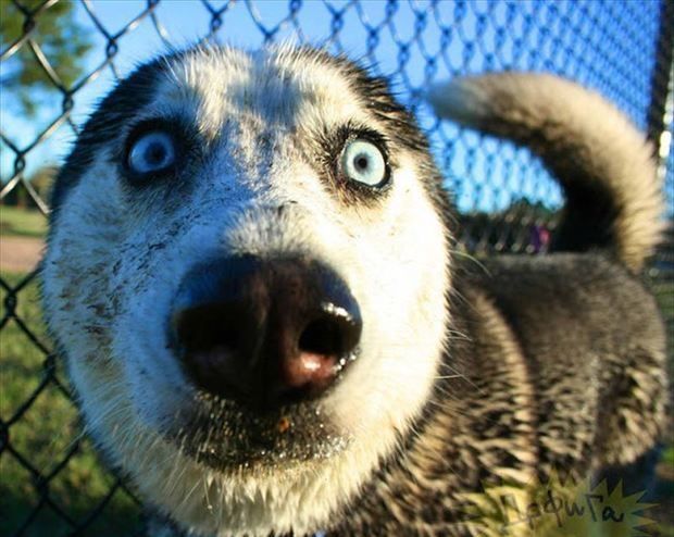 马上过年送你几句祝福语,马上就要过年了送你几句祝福语