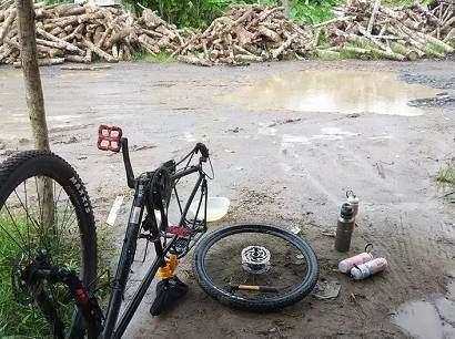 骑行9000多公里，他的这个决定，让流浪猫成为了宝贝