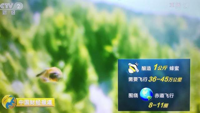 为什么超市蜂蜜那么便宜,超市买的蜂蜜为什么不结晶