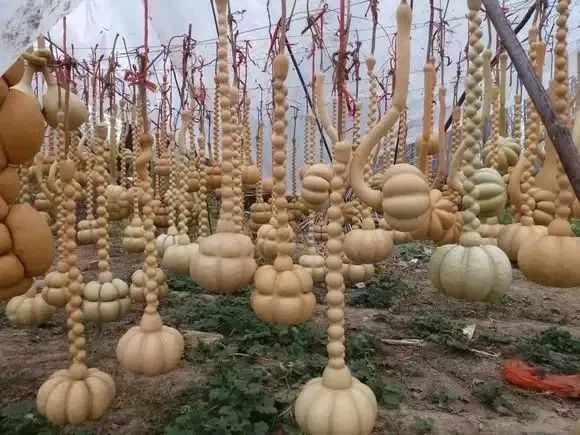 如意葫芦是什么样的,如意葫芦的视频