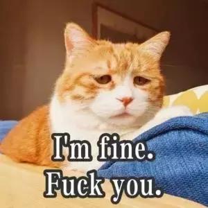 cosme大赏值得买吗,cosme十大必买清单