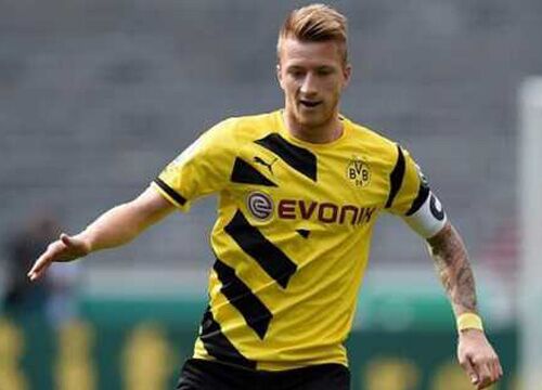 最悲情的天才球员罗伊斯,悲情天才足球罗伊斯