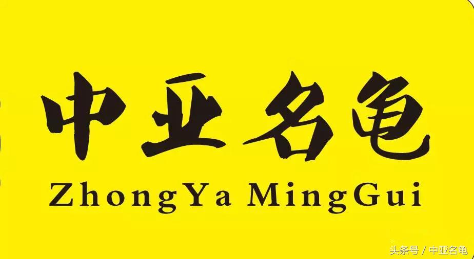 乌龟肠胃炎的前兆,庆大霉素治疗乌龟肠胃炎