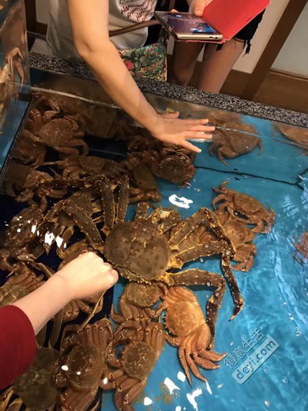 日本第一次去东京要关注什么,去日本大阪一周攻略