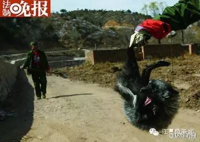 区文化中心建设即将启动|一商场保洁坠电梯井被压死