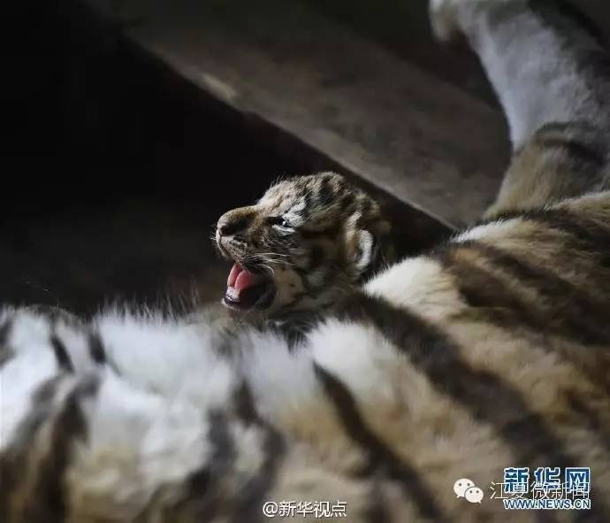 区文化中心建设即将启动|一商场保洁坠电梯井被压死