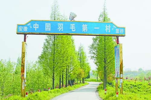 中国羽绒第一镇,中国羽绒之乡羽绒产业展示厅