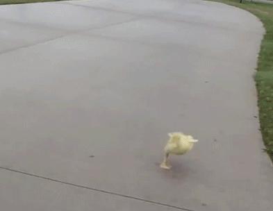 天津三月初哪个公园值得逛,天津最值得去的公园