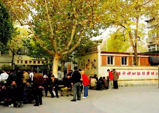 天津三月初哪个公园值得逛,天津最值得去的公园