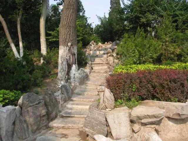 天津三月初哪个公园值得逛,天津最值得去的公园