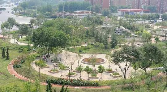 天津三月初哪个公园值得逛,天津最值得去的公园