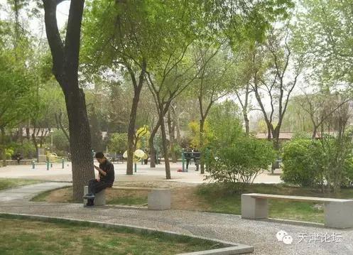 天津三月初哪个公园值得逛,天津最值得去的公园