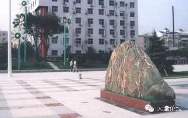 天津三月初哪个公园值得逛,天津最值得去的公园