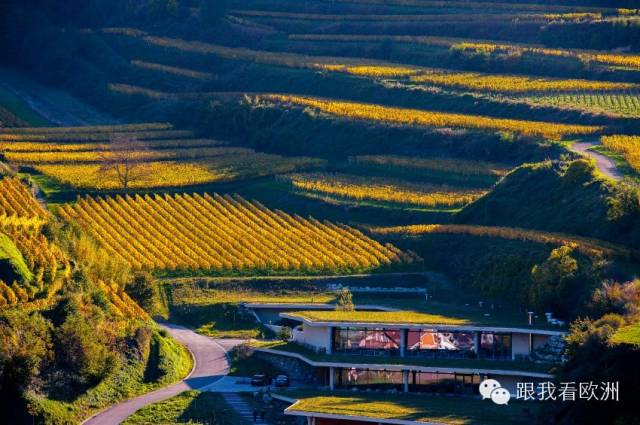欧洲四大酒庄,世界十大奢华酒庄