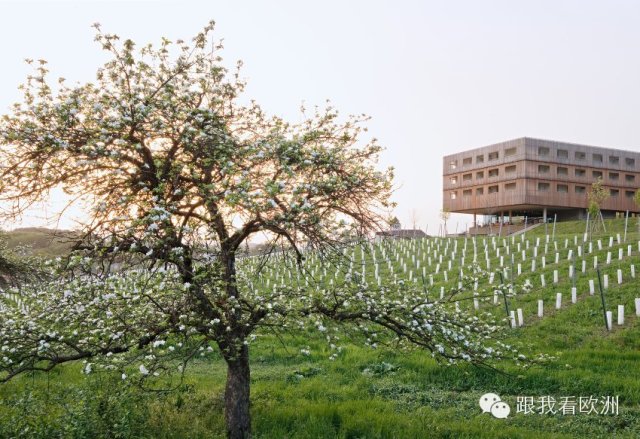欧洲四大酒庄,世界十大奢华酒庄