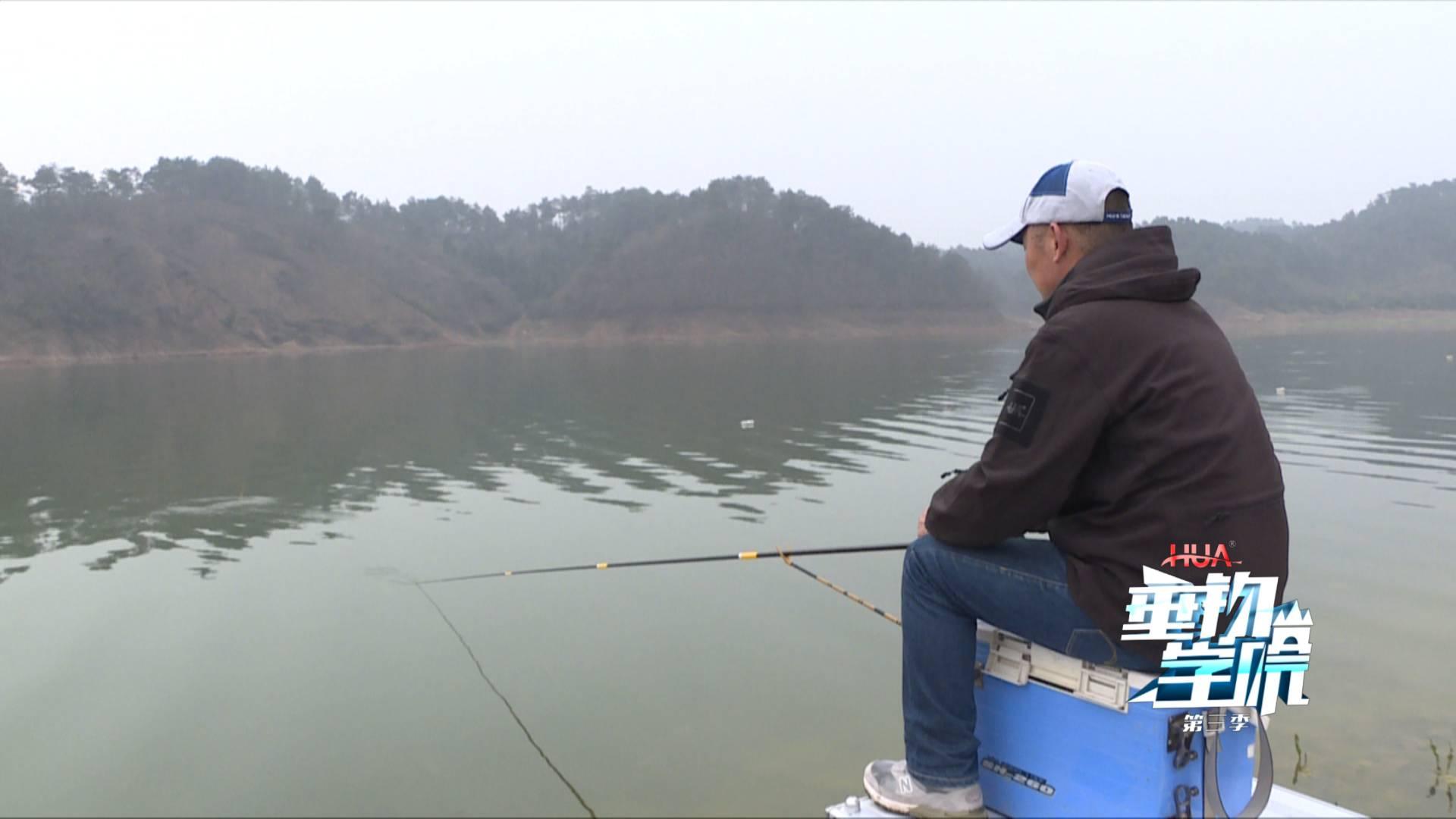 野钓小杂鱼闹窝太严重怎么办,为什么小杂鱼闹窝却钓不上来