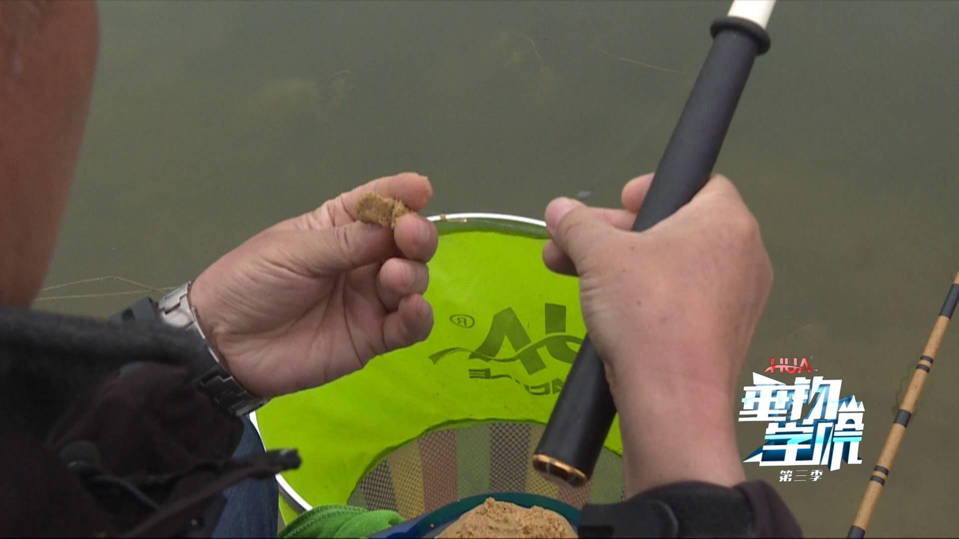 野钓小杂鱼闹窝太严重怎么办,为什么小杂鱼闹窝却钓不上来