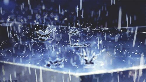 武汉最美的是几月,雨后最美的武汉