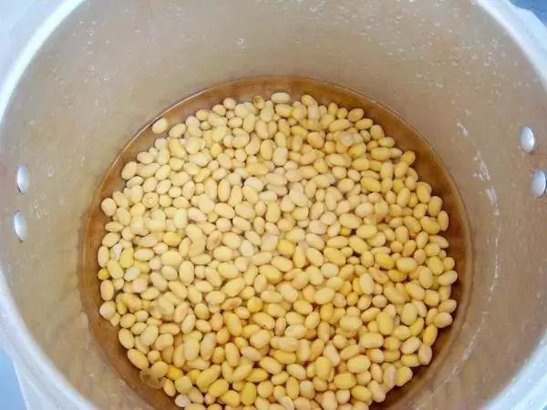 纳豆机怎么制作纳豆的,纳豆机做神仙豆方法