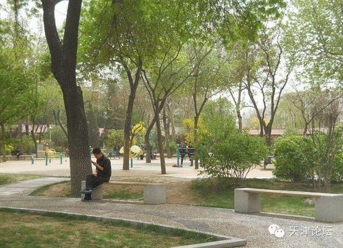 五一假期去哪玩天津,五一出游何必去远方