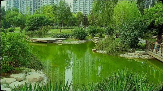 五一假期去哪玩天津,五一出游何必去远方