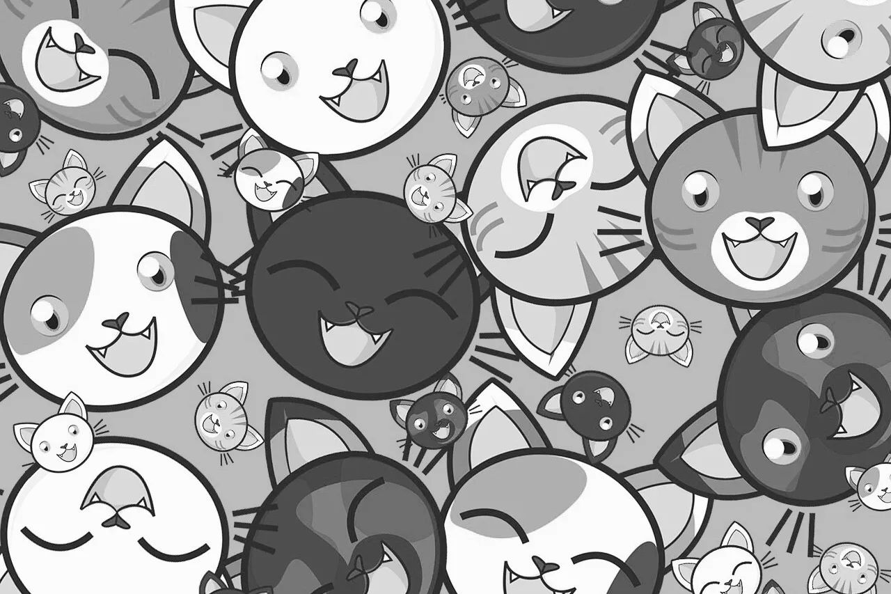 以太坊养猫详解,云养猫以太坊最新消息