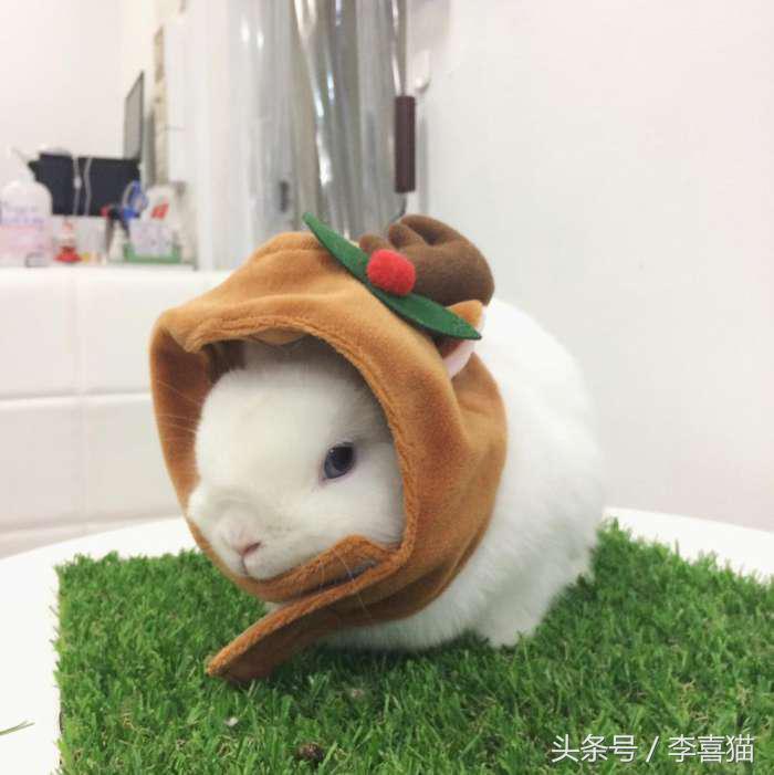 冬天这么冷就多互相温暖吧,冬天这么冷我们互相取暖