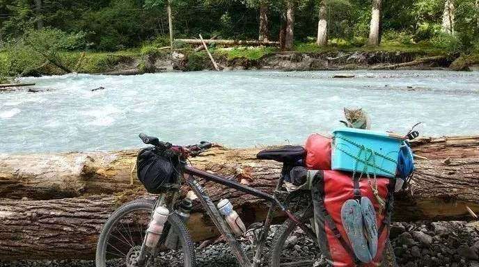 骑行9000多公里，他的这个决定，让流浪猫成为了宝贝