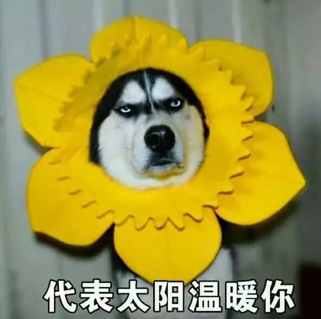 外八字脚可以调理过来吗,外八字脚好不好