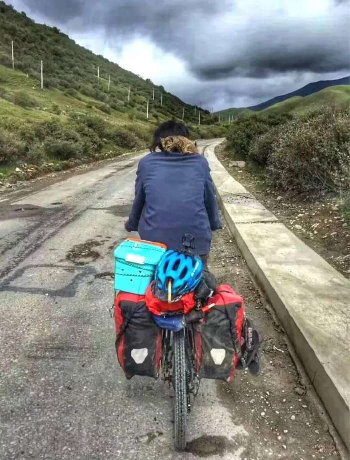 骑行9000多公里，他的这个决定，让流浪猫成为了宝贝