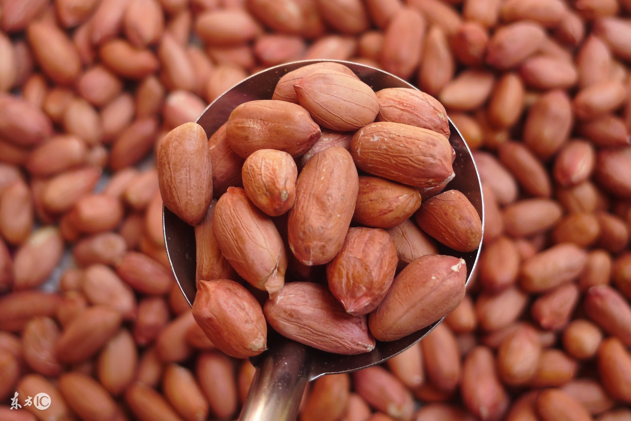 花生红衣吃生的好还是熟的好,花生的红衣是种皮吗
