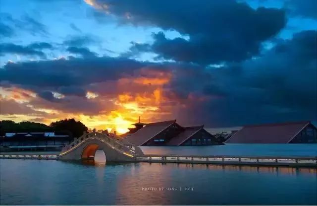 下辈子我只想做一只猪,下辈子我只想做一个俗人