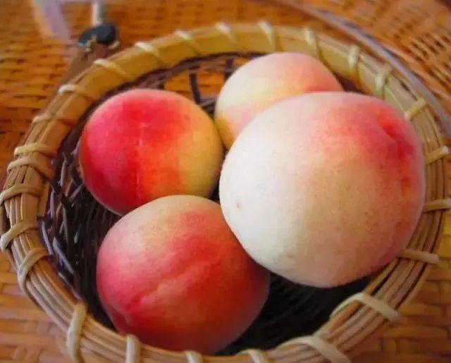 下辈子我只想做一只猪,下辈子我只想做一个俗人