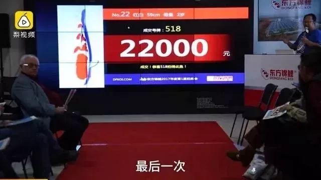 天呢！一条鱼的价格竟然可以买苏州一套房！