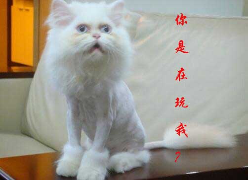 ugg事件最新结果,ugg最近的消息