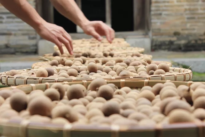 桂圆干怎么吃最补气血,桂圆干怎么吃最补气血效果好