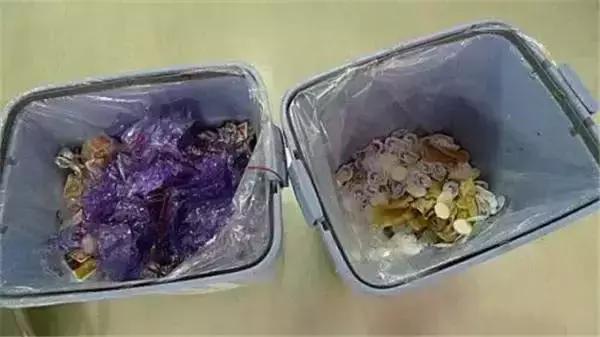 令人惊叹的日本,带你看看最真实的日本