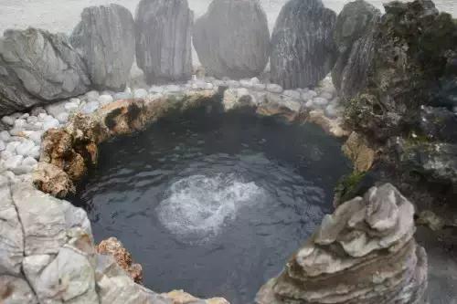 千年古银杏树腾冲界头,千年银杏树王的图片