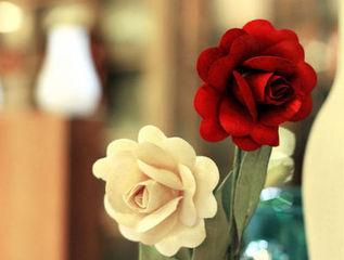 张爱玲经典语录红玫瑰和白玫瑰,张爱玲说过讨好一个人