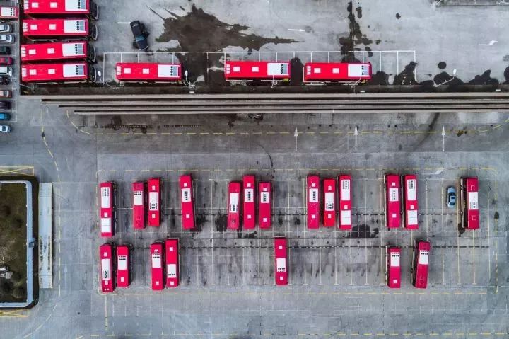 下辈子我只想做一只猪,下辈子我只想做一个俗人