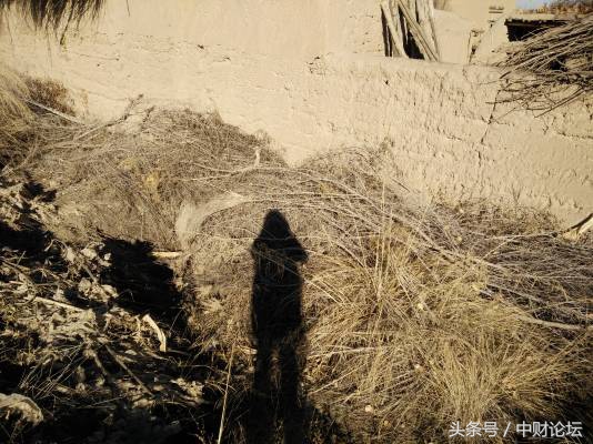 跟上时代列车,跟上潮流小火车