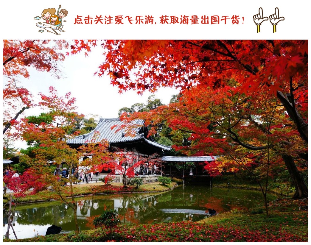 日本出境税新规,日本旅游带多少东西要补税